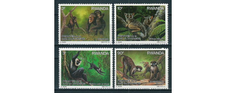 RWANDA 1988 - MAIMUTE - SERIE DE 4 TIMBRE - NESTAMPILATA - MNH / fauna113